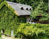 Ősfás birtok saját patakkal az erdő, a Nemzeti Park közepén