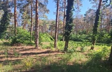 Eladó telek/földterület