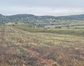 Eladó telek/földterület Zánka 8 600 000 Ft