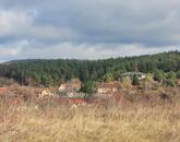 Eladó telek/földterület Tinnye 50 000 000 Ft