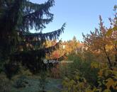 Eladó telek/földterület Solymár 69 900 000 Ft