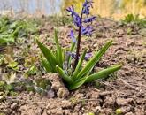 Tágas terek, otthonos hangulat