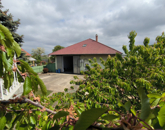 Eladó családi ház Debrecen 199 000 000 Ft