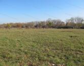 Kertes mezőgazdasági terület Vörösmálon