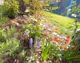 Eladó családi ház Mohács 79 900 000 Ft