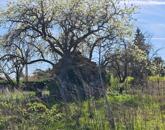 Balatoni panorámás zártkert eladó Balatonalmádiban