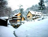 Ősfás birtok saját patakkal az erdő, a Nemzeti Park közepén