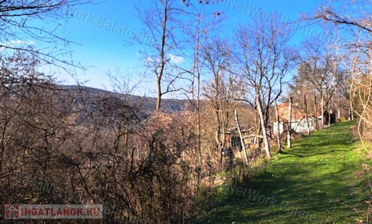 Fás, erdős terület - eladó MEZŐGAZDASÁGI TERÜLET KAPOLCSON