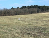 Eladó telek/földterület Alsónemesapáti 55 000 000 Ft