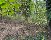 Eladó telek/földterület Kőszeg 29 500 000 Ft