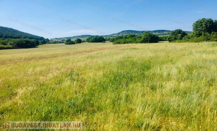 Természet közeli szépségében gyönyörködhetünk                                 