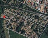 Fenyőerdő ,Panoráma, Nyugalom