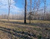 Eladó szántó Cegléden, az Ugyeri dűlőben