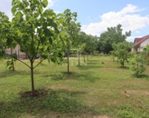 Eladó telek/földterület Kulcs 25 500 000 Ft