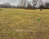 Eladó telek/földterület Budajenő 550 000 000 Ft