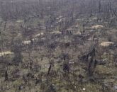 Eladó telek/földterület Dabas 16 000 000 Ft