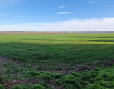 Eladó telek/földterület Kaposvár 7 900 000 Ft