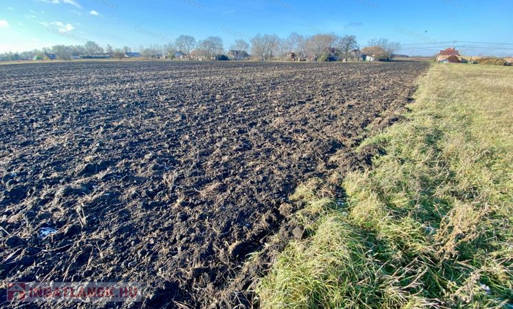 Siratói szőlőkben betonút mellett eladó egy 3189 nm-es szántóföld