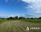 Eladó telek/földterület Kővágóörs 59 900 000 Ft