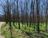 Eladó telek/földterület Dabas 190 000 000 Ft