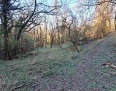 Fás, erdős terület - eladó MEZŐGAZDASÁGI TERÜLET KAPOLCSON