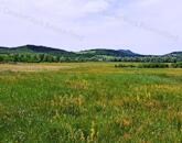 Kedvező adottságokkal-eladó MEZŐGAZDASÁGI TERÜLET BALATONRENDESEN