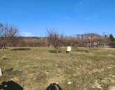 Eladó telek/földterület Pilisborosjenő 125 700 000 Ft