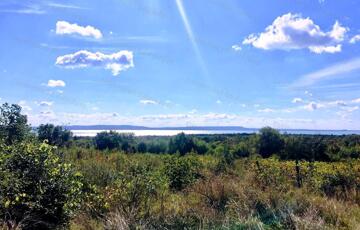 Eladó telek/földterület