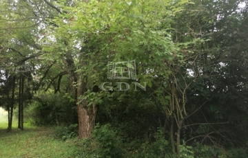 Eladó telek/földterület