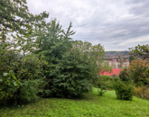 Eladó telek/földterület Zalaegerszeg 8 900 000 Ft