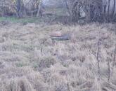 Építési telek eladó – azonnal kezdhető tervezés, rendezett környezet!