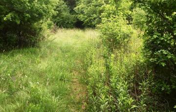 Eladó telek/földterület