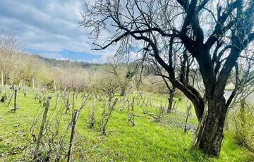 Eladó telek/földterület