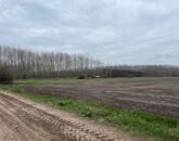 Eladó telek/földterület Dánszentmiklós 58 000 000 Ft