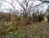 Eladó telek/földterület Verőce 18 990 000 Ft