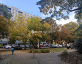 Eladó lakás Budapest XIII. ker 76 500 000 Ft