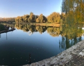 Eladó telek/földterület Bóly 84 000 000 Ft