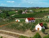 Örök panorámás beépíthető szőlő terület