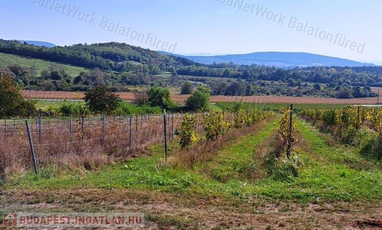 Építhető, tájpanorámás-eladó MEZŐGAZDASÁGI TERÜLET MINDSZENTKÁLLÁN                                 