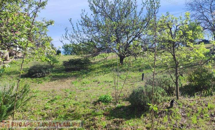 Fenyőerdő ,Panoráma, Nyugalom-Eladó Telek Mogyoród                                 