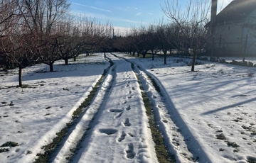 Eladó telek/földterület