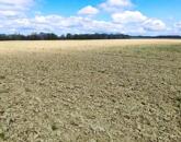 Eladó kiváló elhelyezkedésű szántó