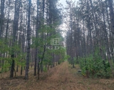 Eladó családi ház Nyárlőrinc 39 000 000 Ft