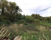 Eladó családi ház Vizslás 7 300 000 Ft