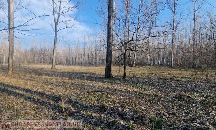 Eladó szántó Cegléden, az Ugyeri dűlőben                                 