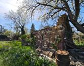 Balatoni panorámás zártkert eladó Balatonalmádiban