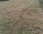 Eladó telek/földterület Kustánszeg 2 900 000 Ft