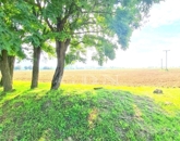 Eladó telek/földterület Balatonkeresztúr 21 200 000 Ft