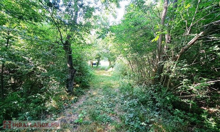 Tóparti halász telek