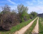 Építhető terület - eladó MEZŐGAZDASÁGI TERÜLET BALATONUDVARIBAN